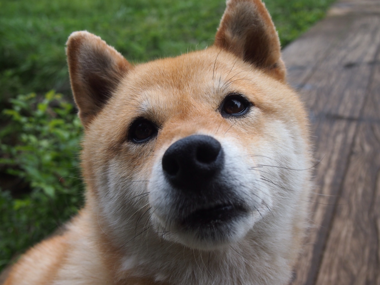 曼城欧冠决赛轻取塞内加尔新军，帕尔默魔法般接管比赛