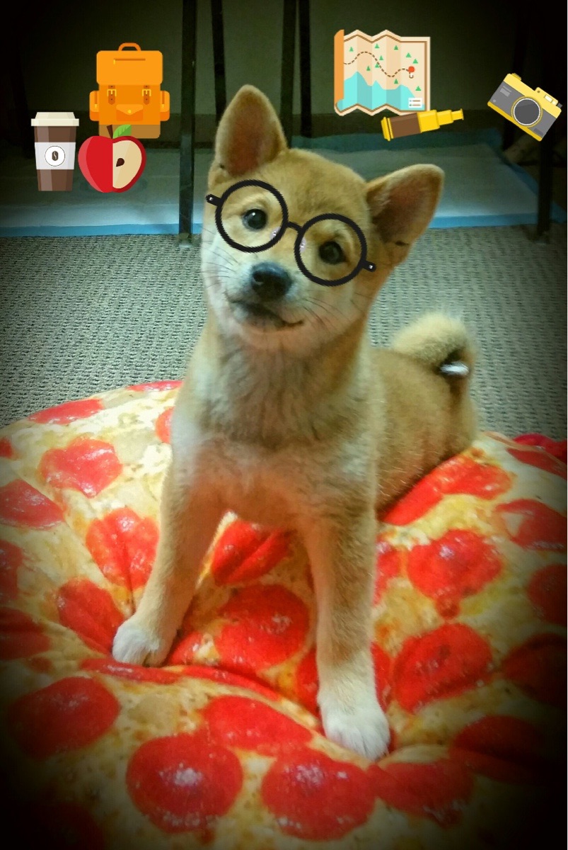 跨过冥河的人，霍勒迪在寂静5秒后的自我抛投