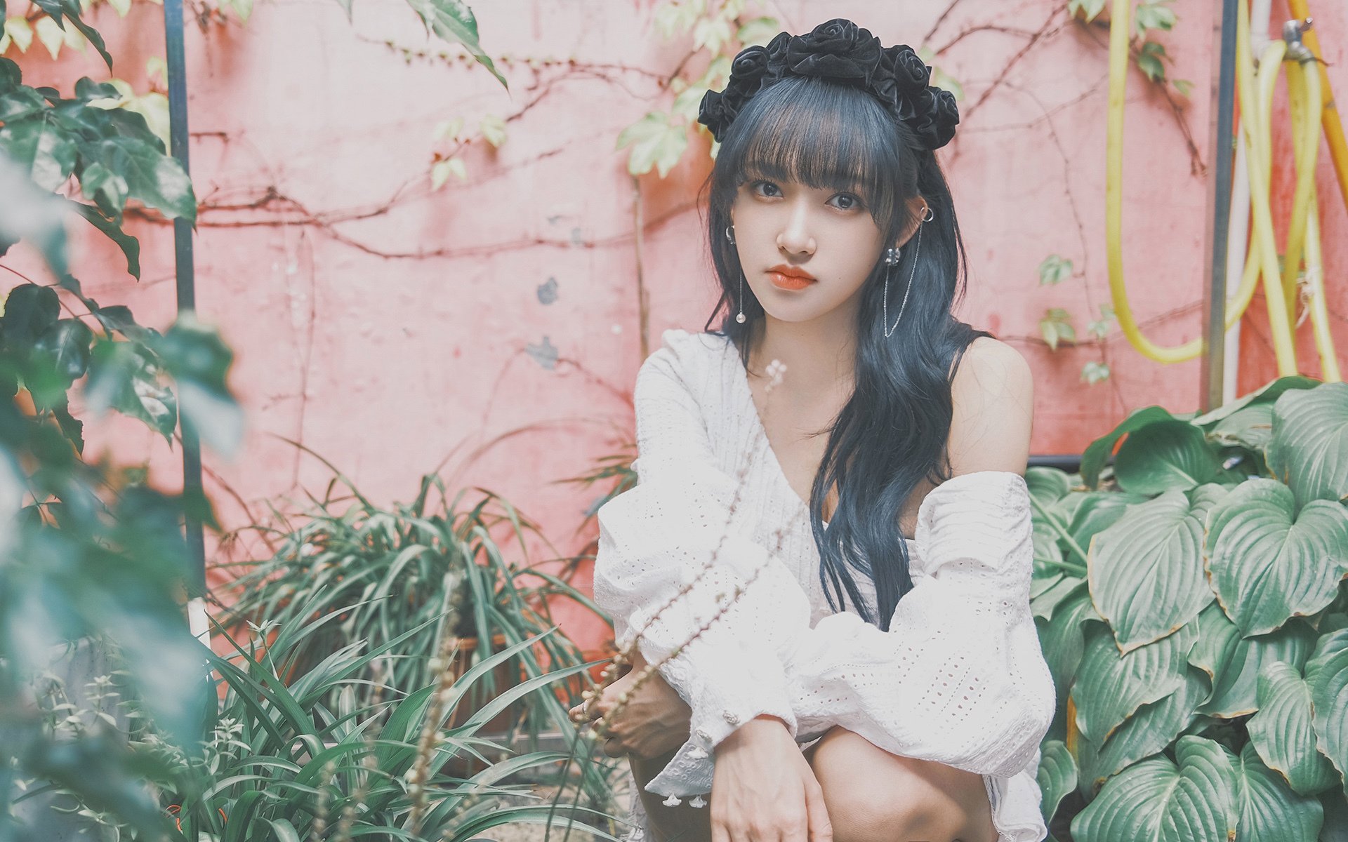 破晓时分,速度与策略的双重变奏