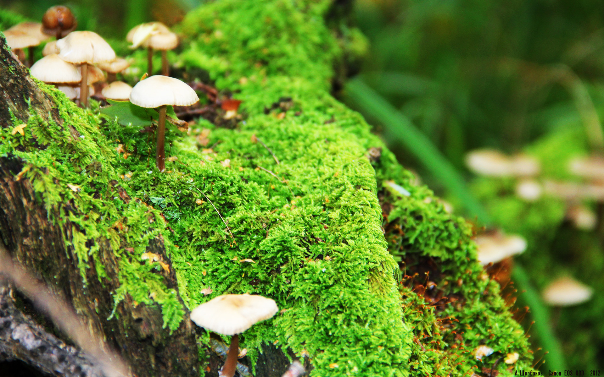 隔空斩龙，当杜兰特空降浙江，一场篮球元宇宙的终极审判