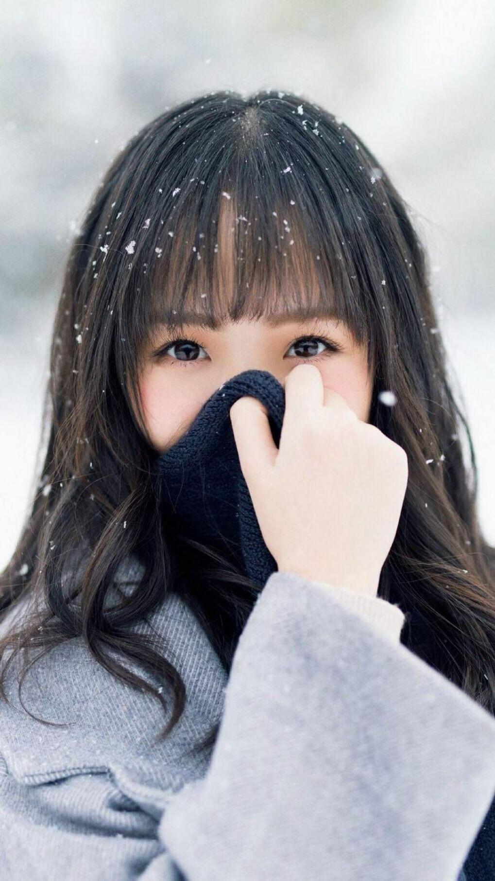 胜利催化剂，霍勒迪的无声指挥棒引领德甲争冠之夜