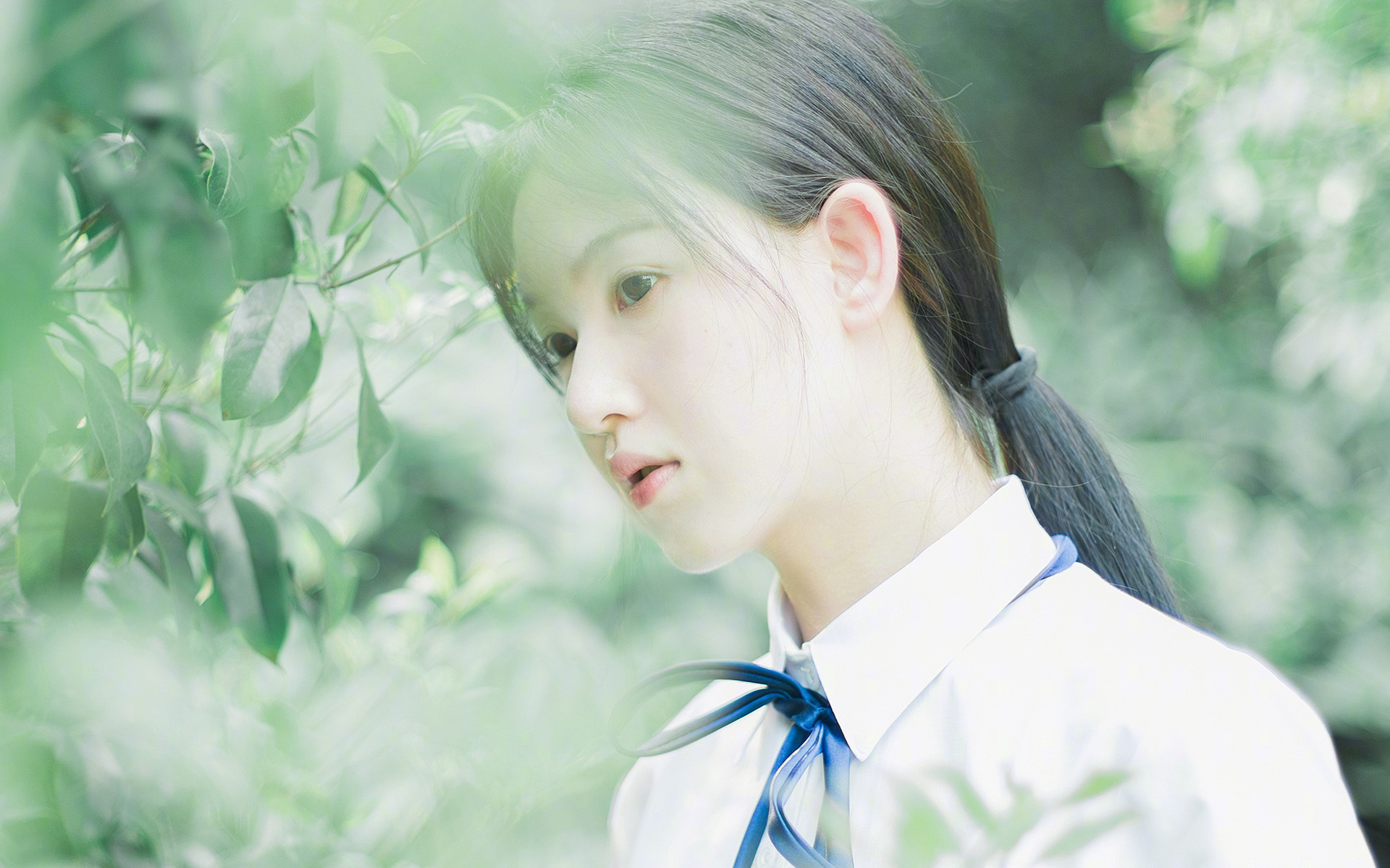 鹰击长空，险中求胜，切特关键封盖+三分助辽宁险胜爵士