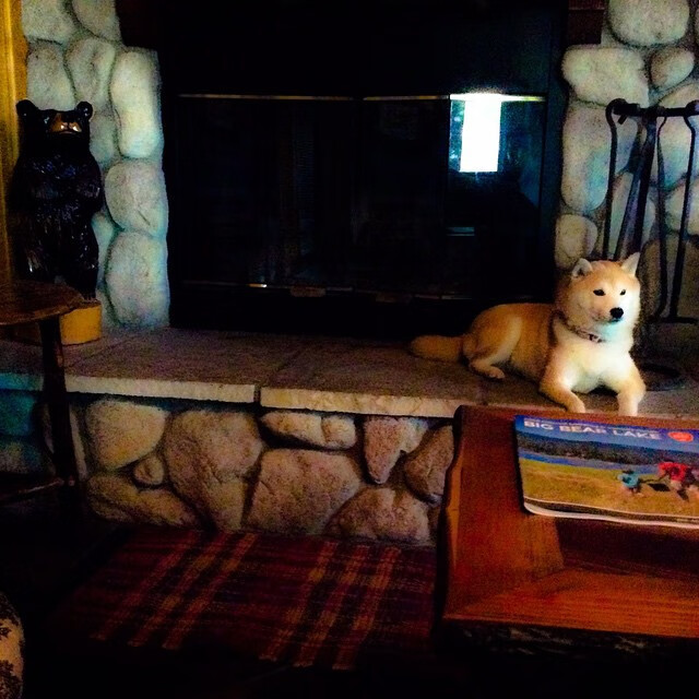 哈利伯顿手术刀般切割，当尼克斯的绞索套上凯尔特人的脖颈