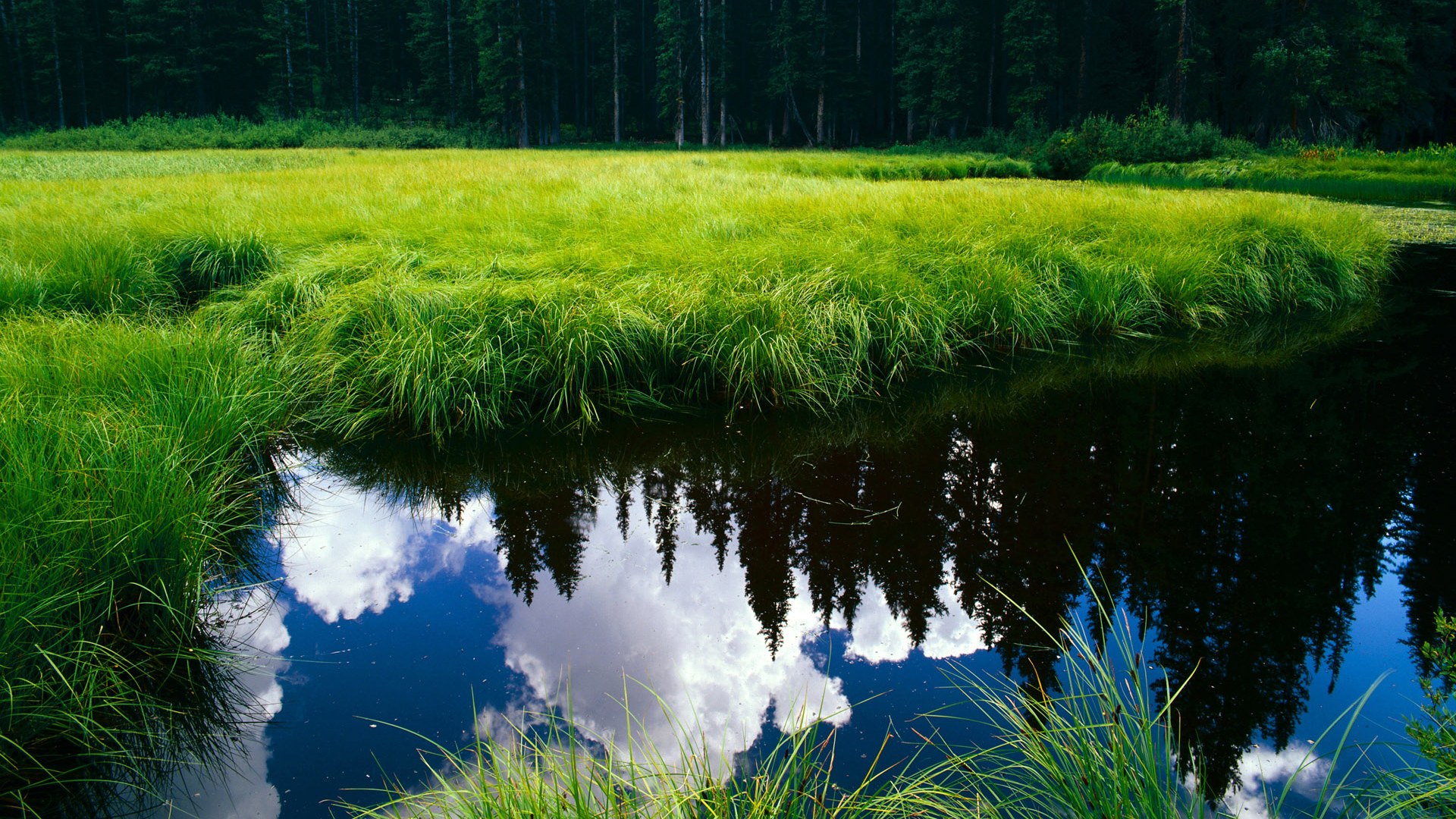 收割与绽放，团队铁律与天才法则的绿茵对话