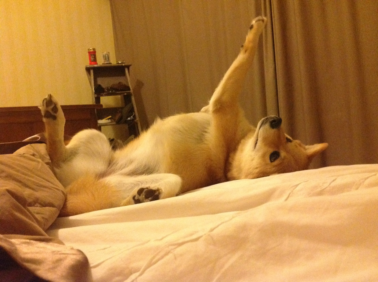 铁血马竞擒蓝黑，罗德里一锤定音