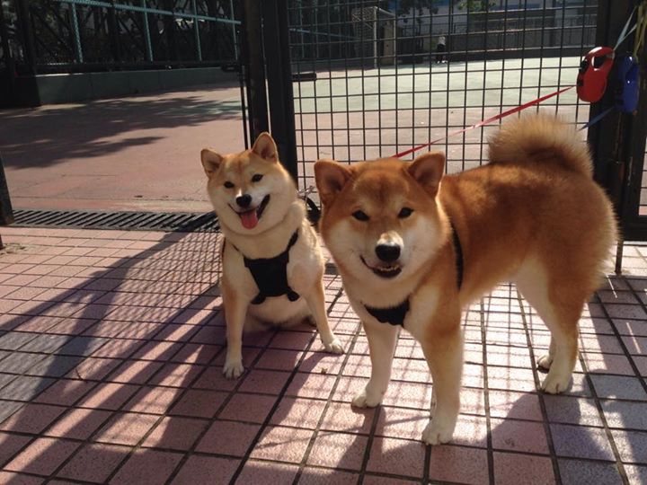 绝境，当时间凝固，詹姆斯在抢七之夜的终极抉择