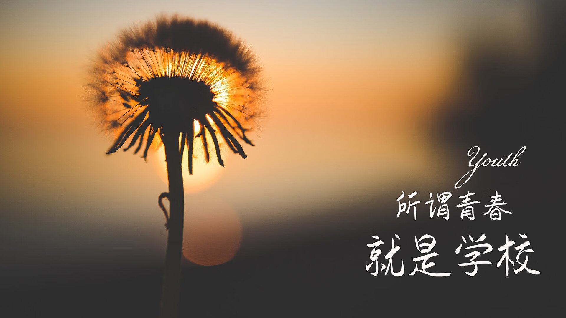 这是一篇为您定制的文章，以唯一性为核心，聚焦2026世界杯的黑马之战与坎塞洛的绝佳表现